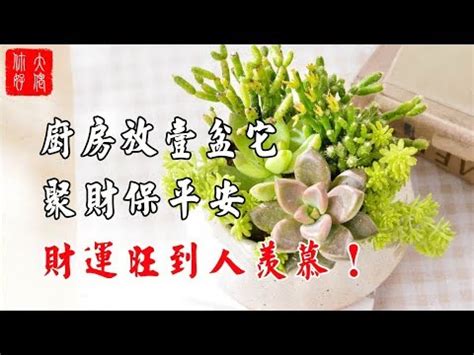 廚房植物風水